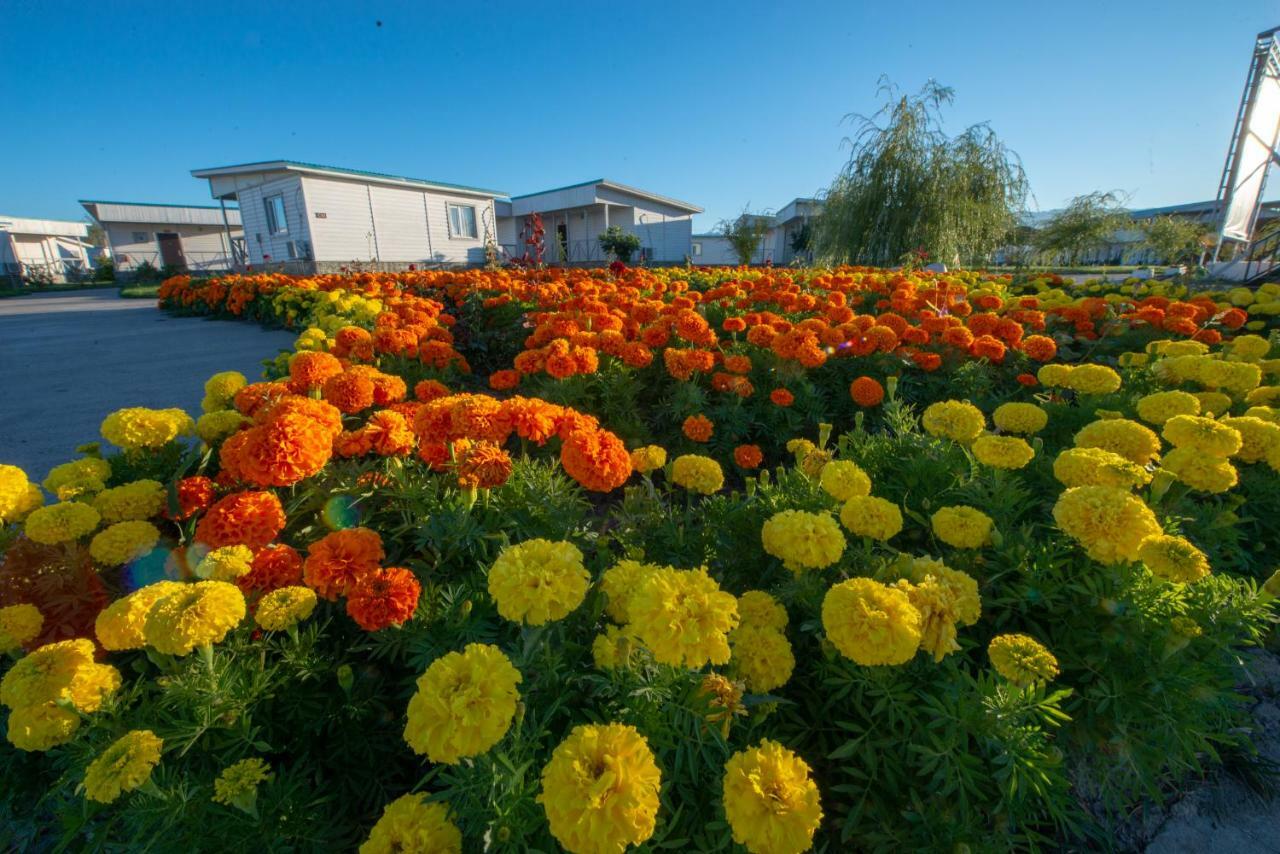 Aquamarine Resort Akshi Eksteriør billede